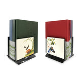 Bookend , Set of 2, William Farquhar (Kingfisher/Magpie Robin) - Qua | Distinctive Gifts